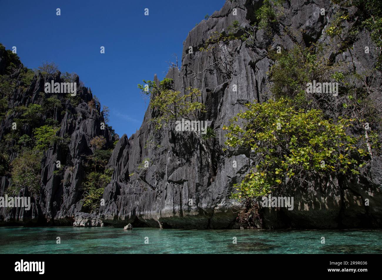 Îles Coron, Philippines, Asie Banque D'Images