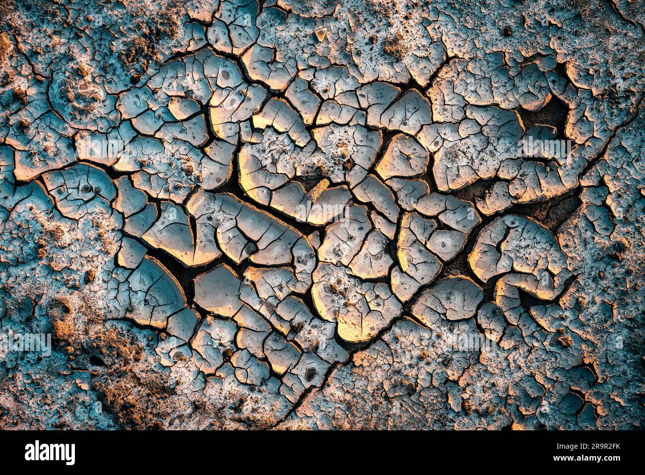 Dry cracked earth Banque D'Images