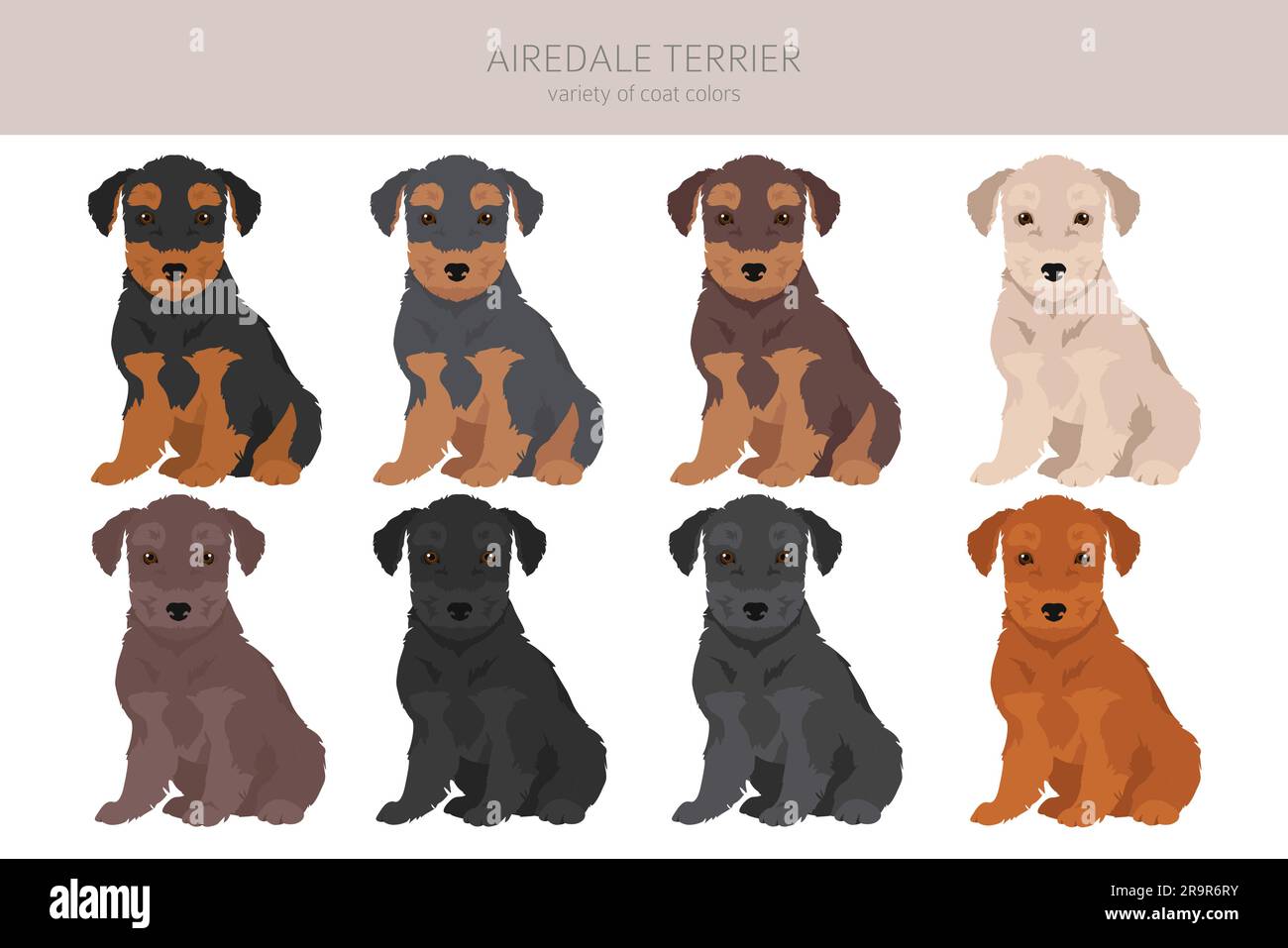 Airedale terrier chiots toutes les couleurs clipart. Différentes couleurs de pelage. Illustration vectorielle Illustration de Vecteur
