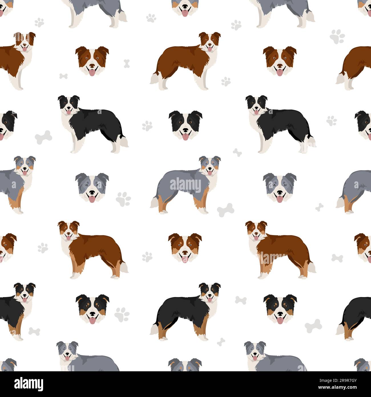 Motif chien collie sans couture. Illustration vectorielle Illustration de Vecteur
