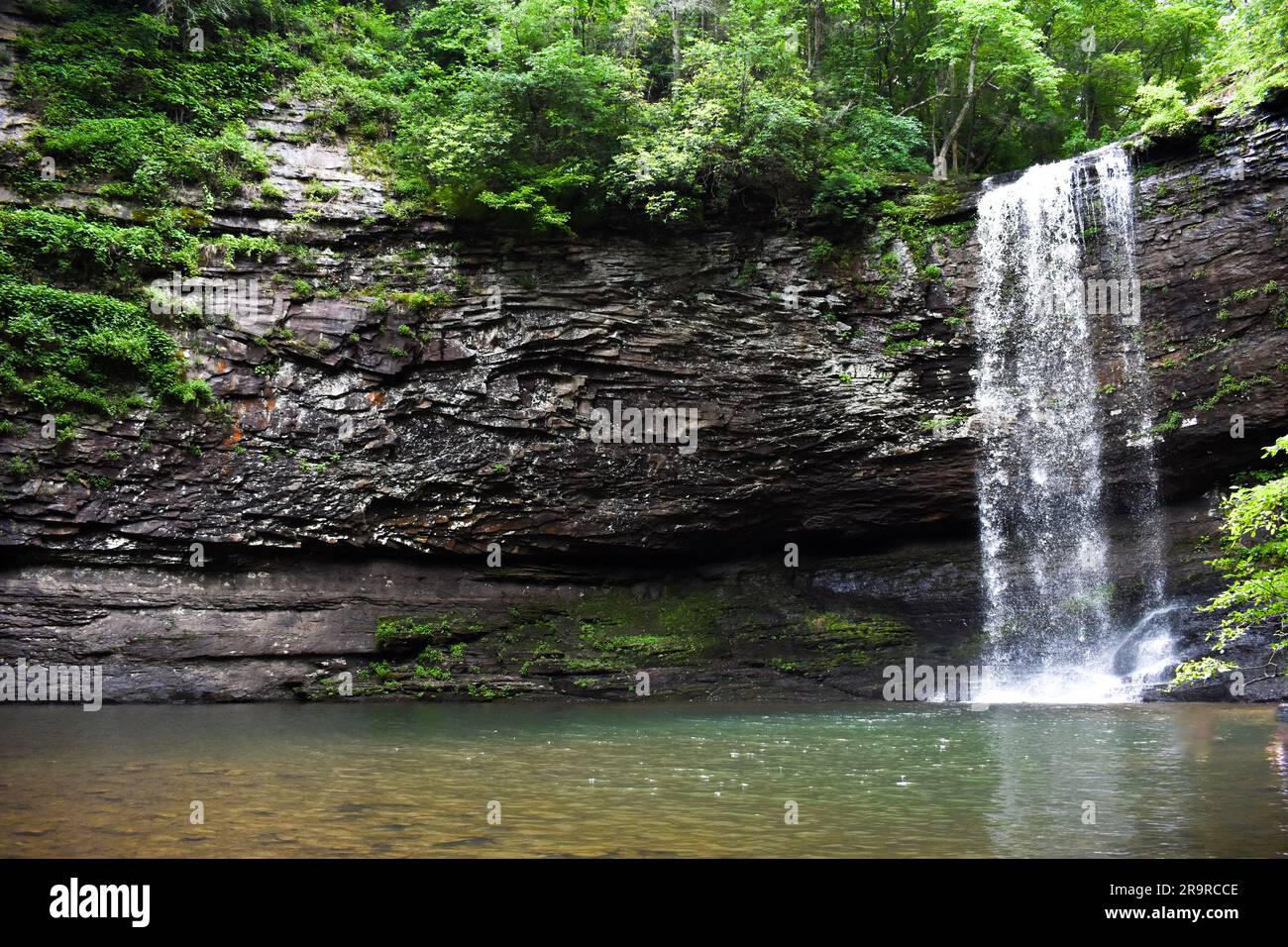 Piscine avec chute d'eau Cloudland Canyon Banque D'Images
