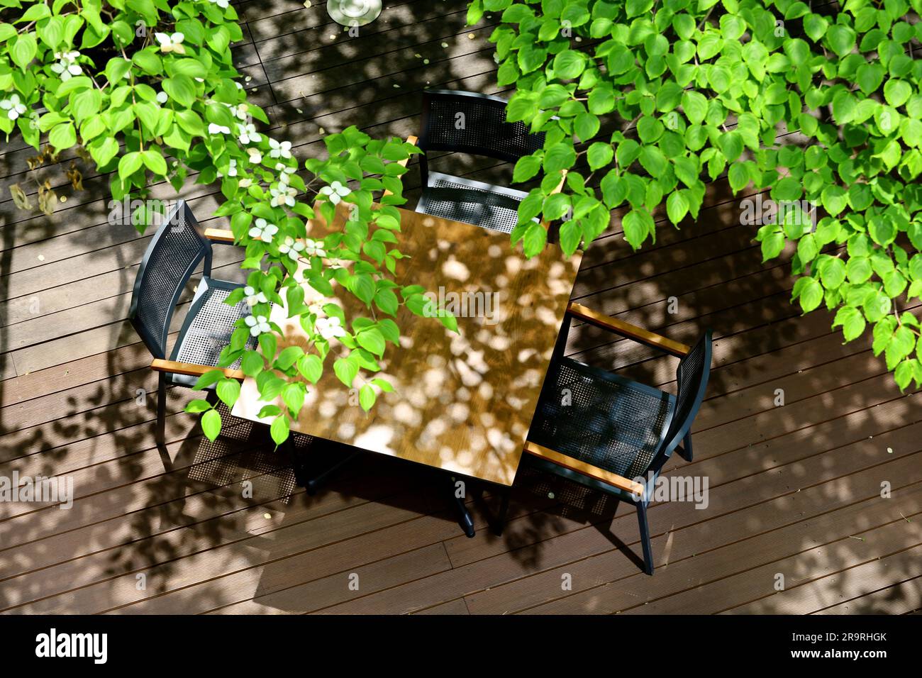 Terrasse dans la ville couverte d'arbres d'été luxuriants Banque D'Images