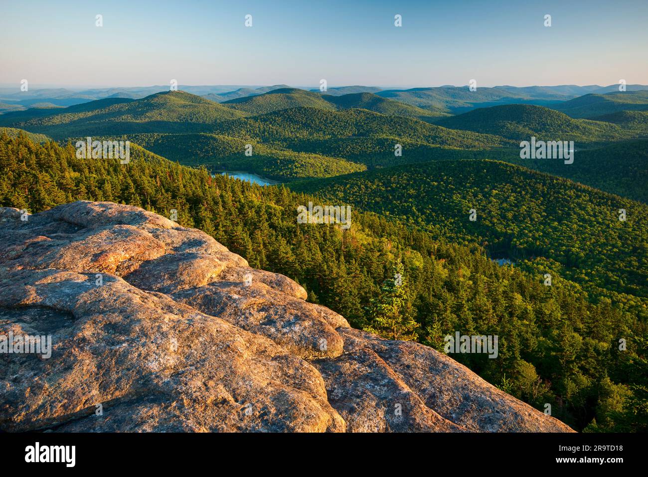 Soirée d'été sur Crane Mountain, Adirondack Mountains, New York, États-Unis Banque D'Images