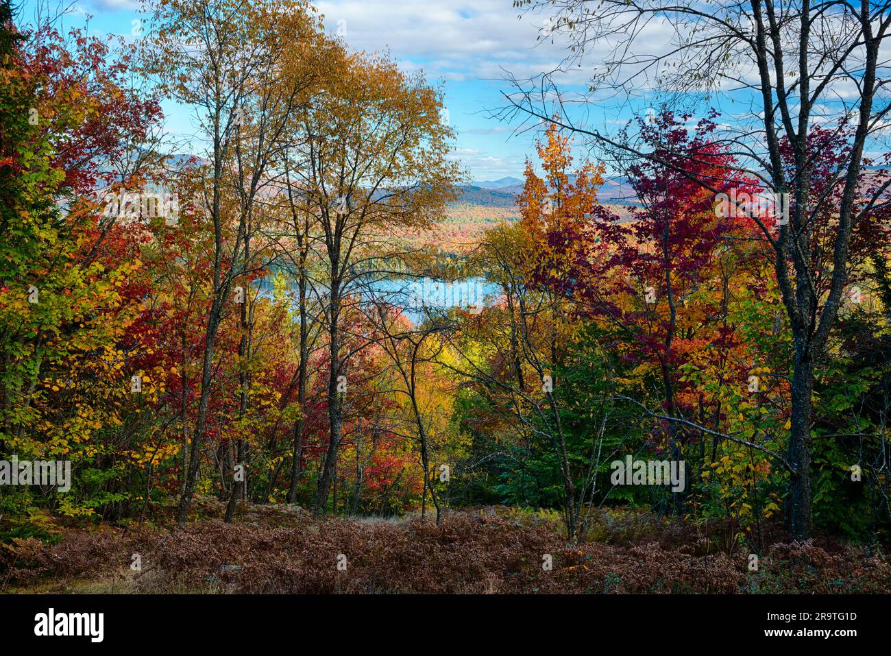 Feuillage d'automne sur la montagne Mud Pond avec le lac McRorie au loin, montagnes Adirondack, New York, États-Unis Banque D'Images