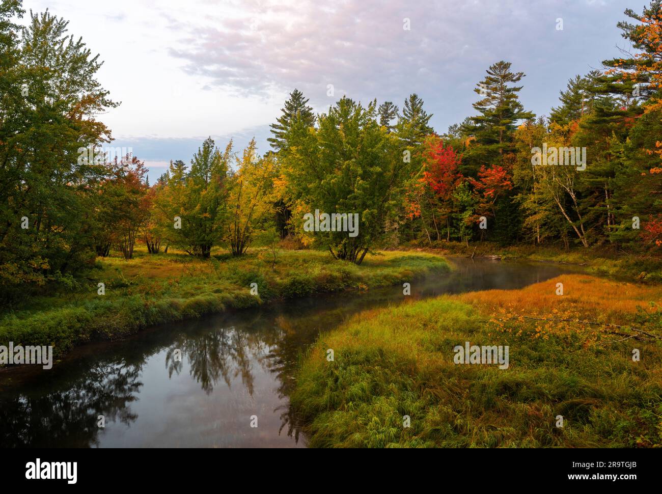 Feuillage d'automne le long de la rivière Raquette, montagnes Adirondack, New York, États-Unis Banque D'Images