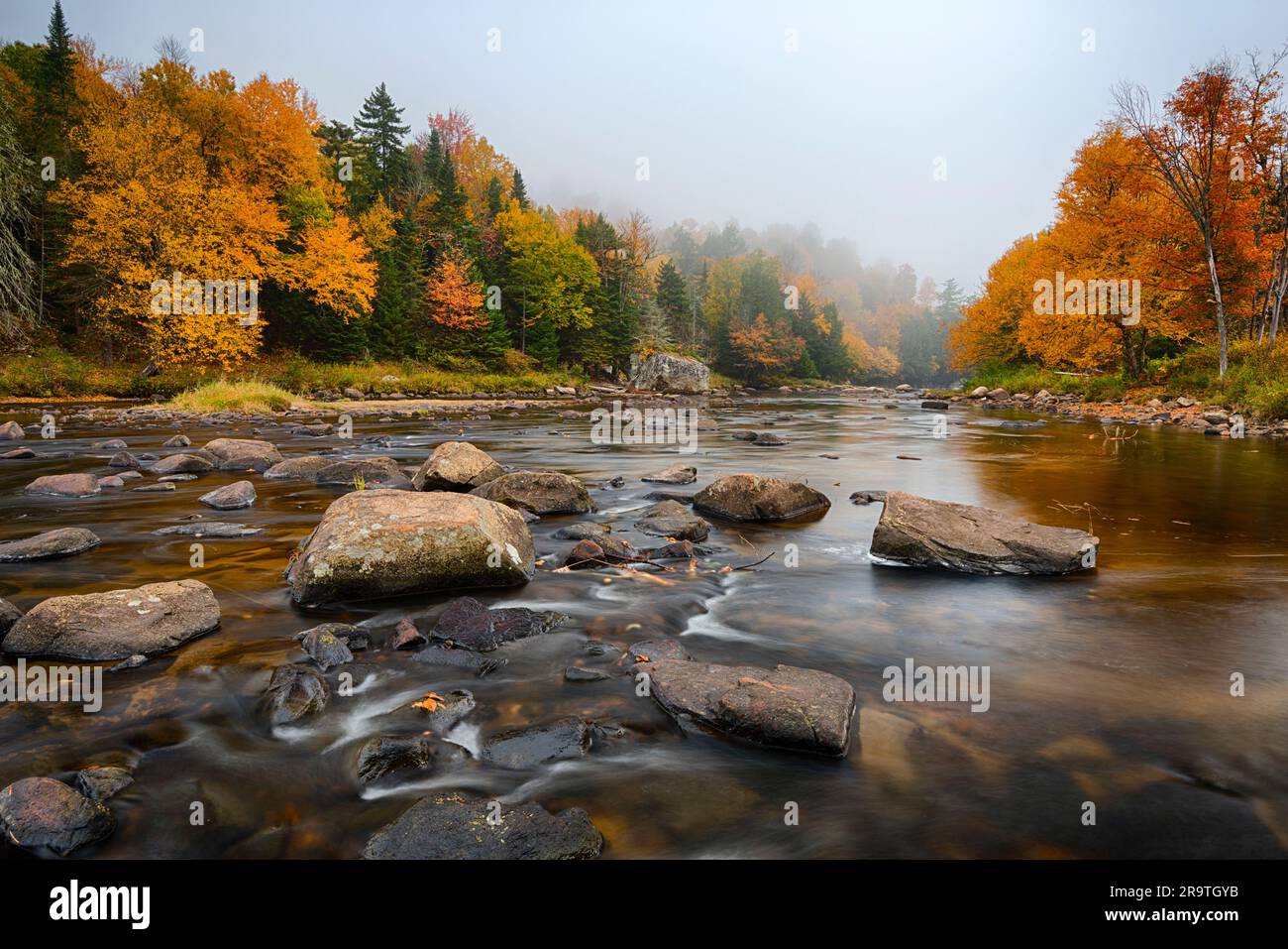 Feuillage d'automne le long de la rivière Ausable, montagnes Adirondack, New York, États-Unis Banque D'Images