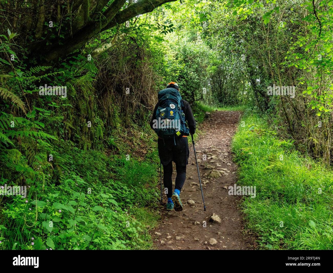 Un pèlerin est vu en randonnée avec l'aide de bâtons de marche. Le