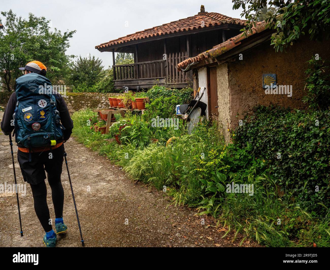21 mai 2023, près d'Oviedo, Espagne un randonneur est vu passer par