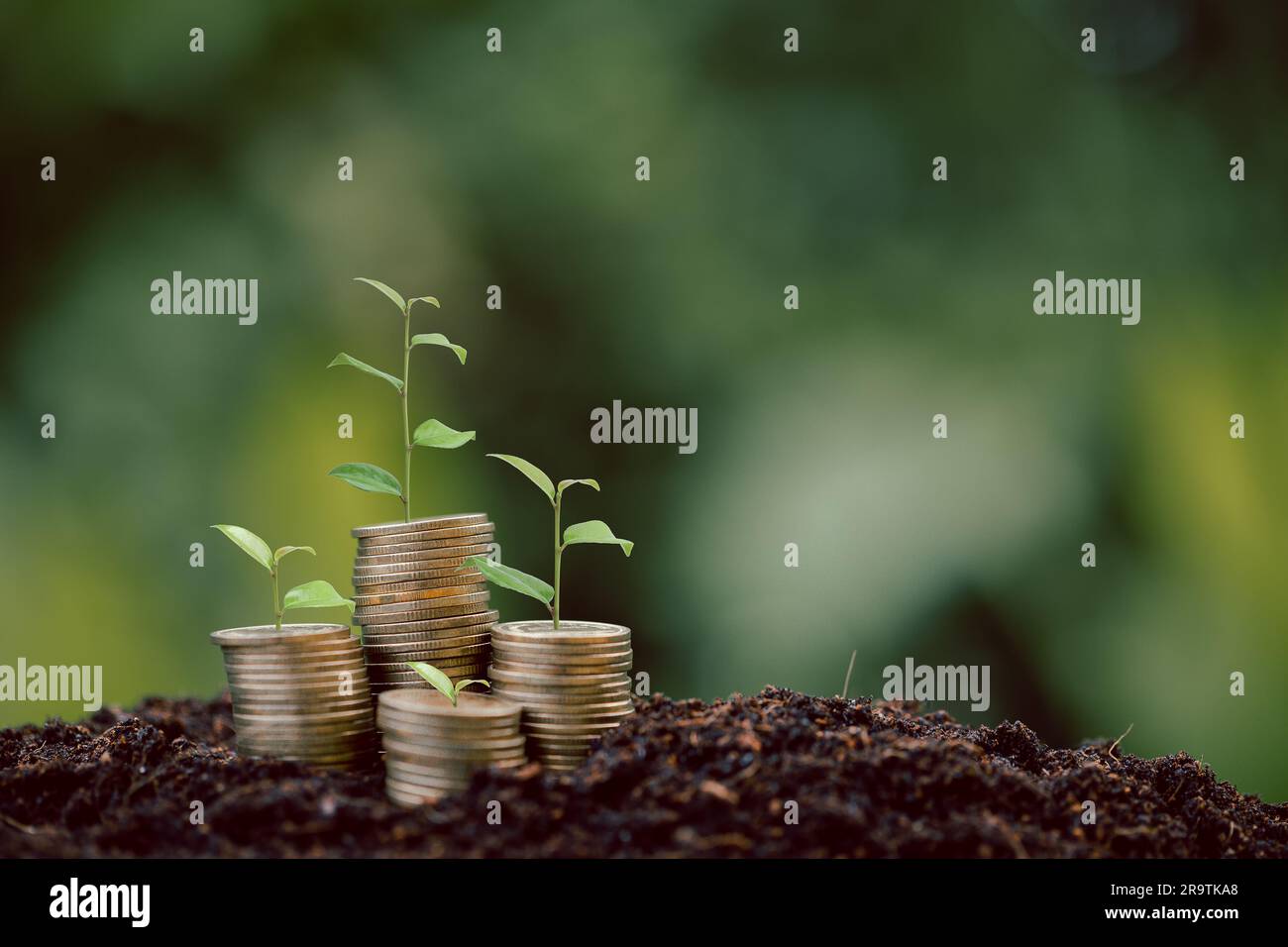 Pile de pièces d'argent avec plante de semis qui pousse sur fond vert d'environnement naturel. banque d'intérêt, idée de croissance de l'investissement des entreprises. augmenter le prêt, économiser Banque D'Images