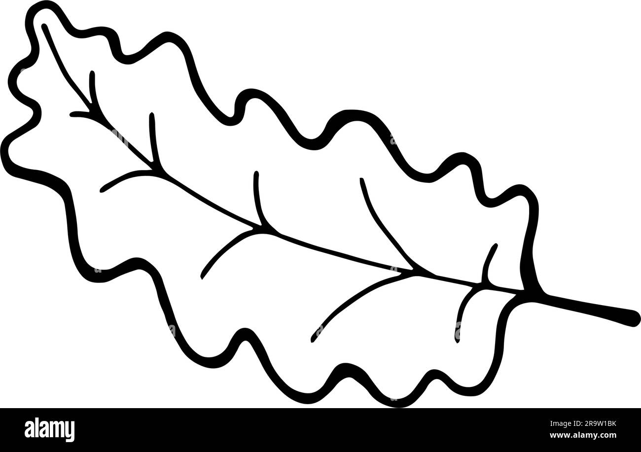 Dessin vectoriel de ligne abstraite feuille d'automne. Concept écologique naturel botanique minimal. Décoration murale maison, affiche, sac fourre-tout, imprimé tissu. Dessin à une seule ligne Illustration de Vecteur