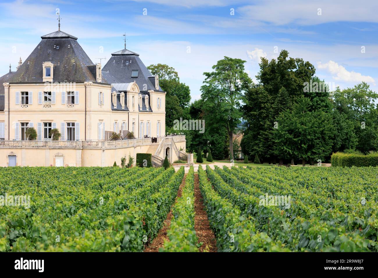 Vue sur les vignobles jusqu'au Château de Meursault Meursault Beaune Côte-d'Or France Banque D'Images