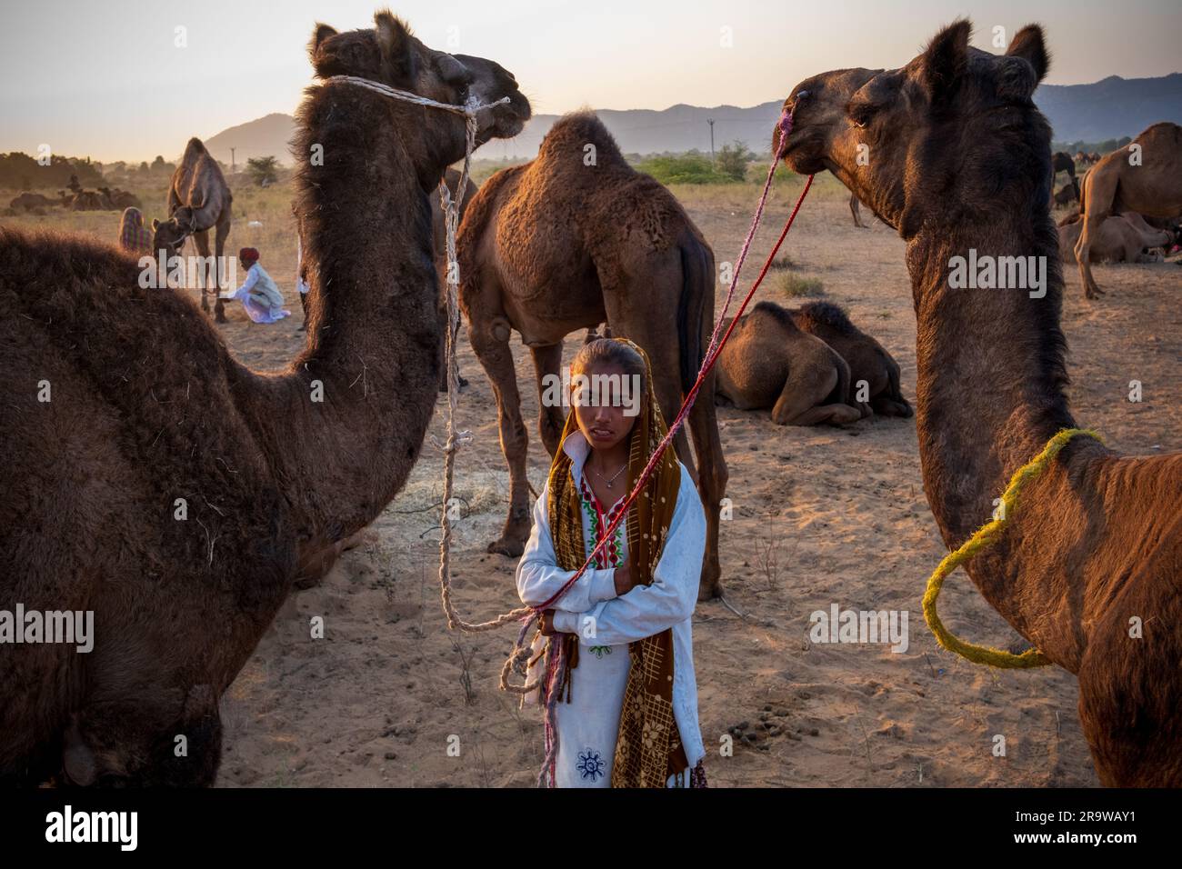 Belle fille à la Foire Pushkar Camel, Inde Banque D'Images