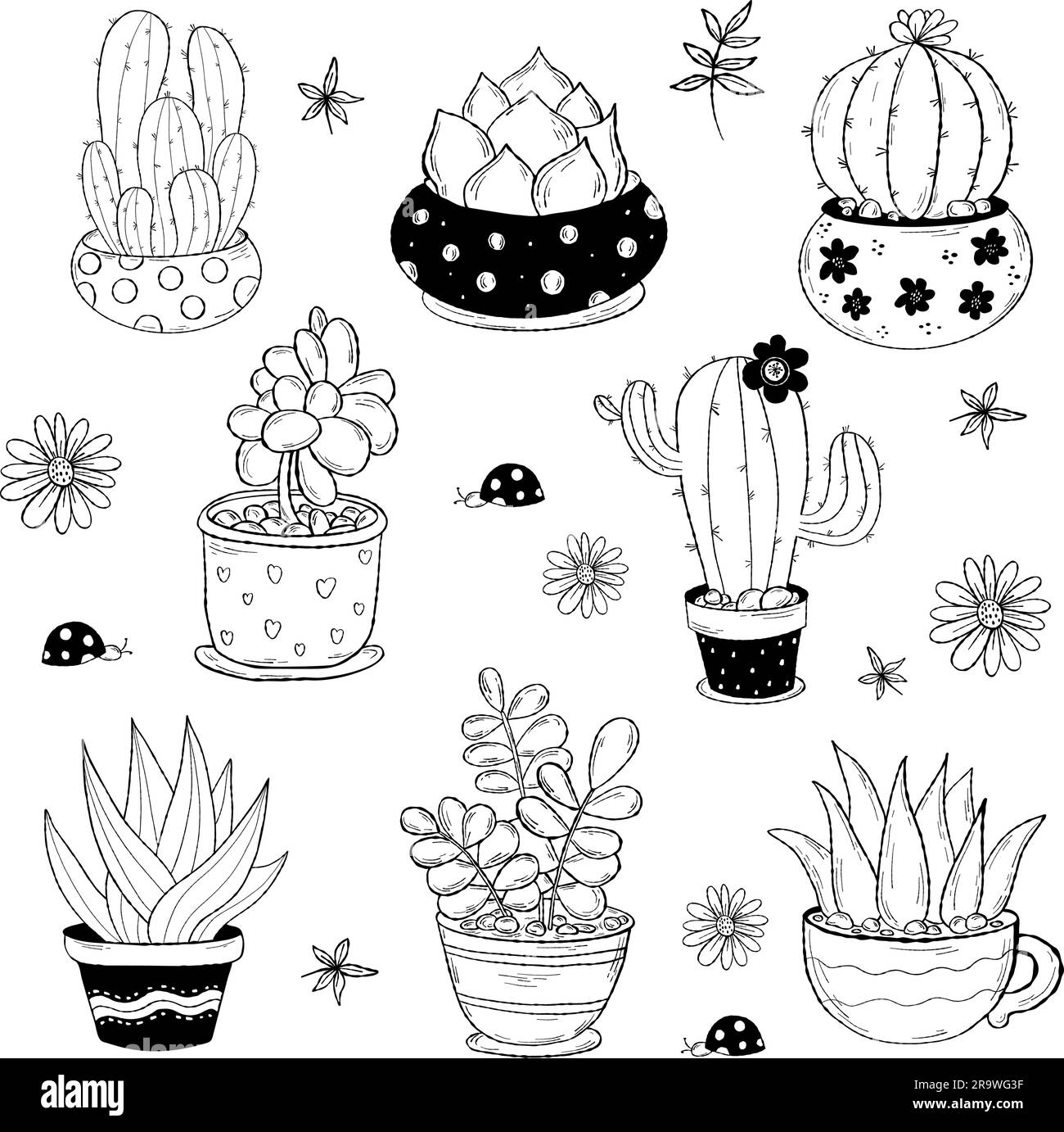 Collection de plantes d'intérieur tropicales cactus doodle. Illustration vectorielle. Dessins à la main décoratifs isolés plantes d'intérieur pots de fleurs pour le design et la décoration. Illustration de Vecteur