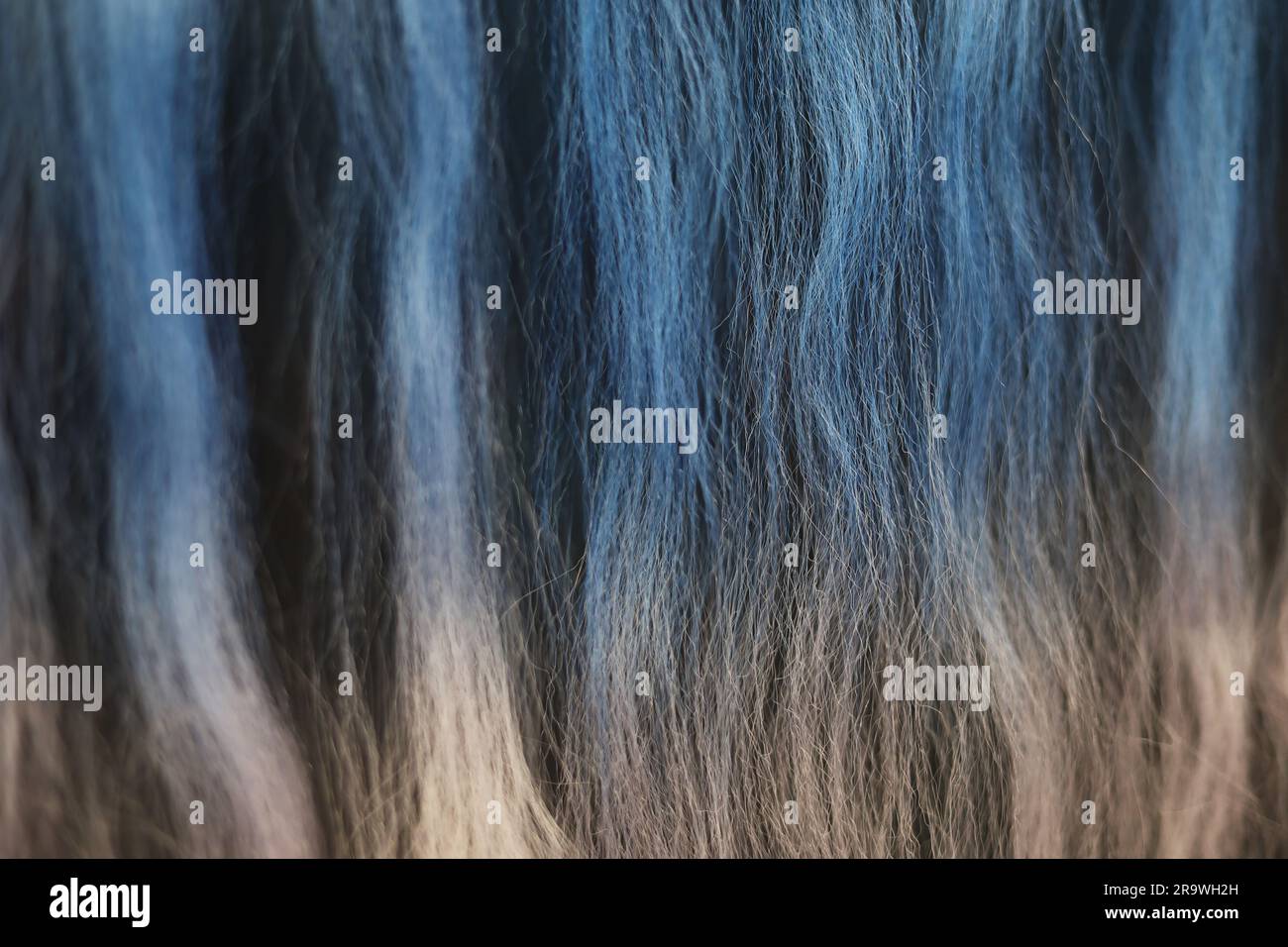 Boucles brillantes ondulées multicolores stylées. Coloration des cheveux dans des tons clairs. Coiffeur, extensions de cheveux Banque D'Images