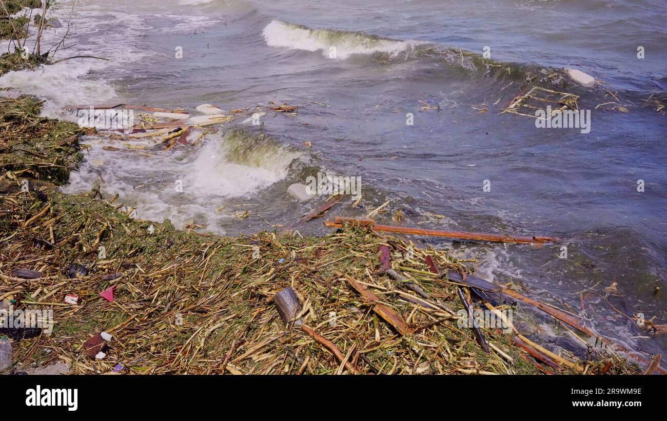 Cadre de fenêtre de la maison et d'autres débris dérivants ont atteint les plages de la mer Noire à Odessa, Ukraine. Catastrophe environnementale causée par l'explosion de Banque D'Images