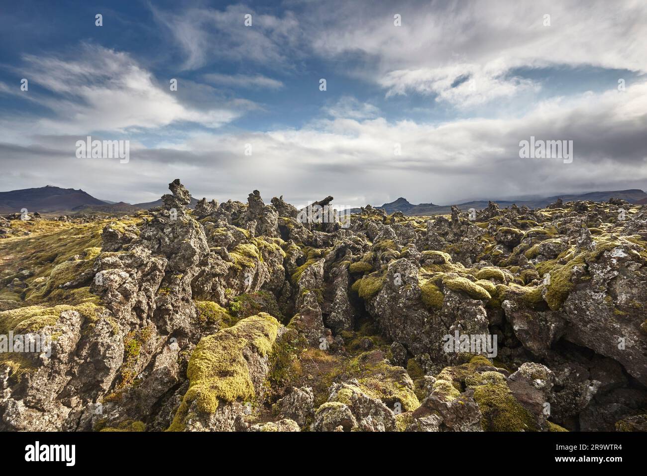 Une masse fracturée de lave solide, recouverte de mousses colonisatrices, regreprenant le champ de lave de Berserkjahraun, sur la péninsule de Snaefellsnes, à l'ouest de l'Islande. Banque D'Images