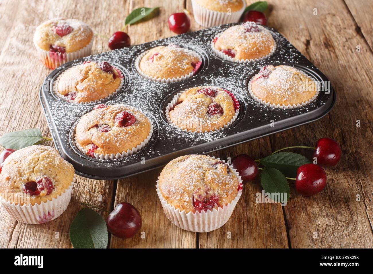 Muffins aux cerises fraîches arrosées de sucre en poudre dans un moule à muffins sur la table. Horizontale Banque D'Images