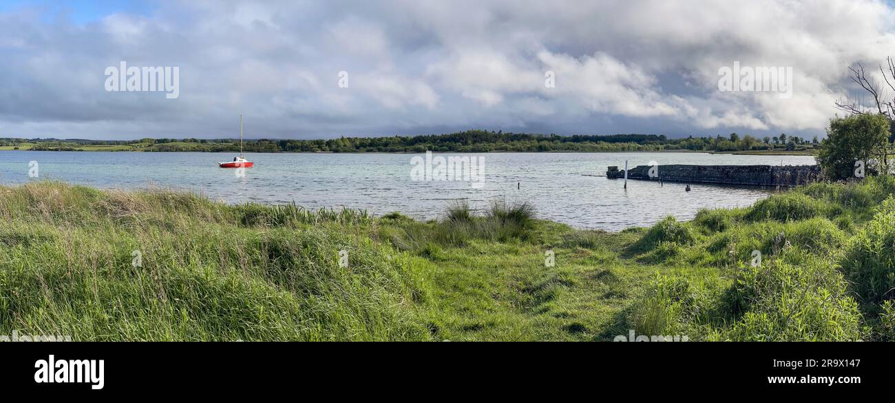 Lac Panorama, Lough Rea, Loughrea, Galway, Irlande Banque D'Images