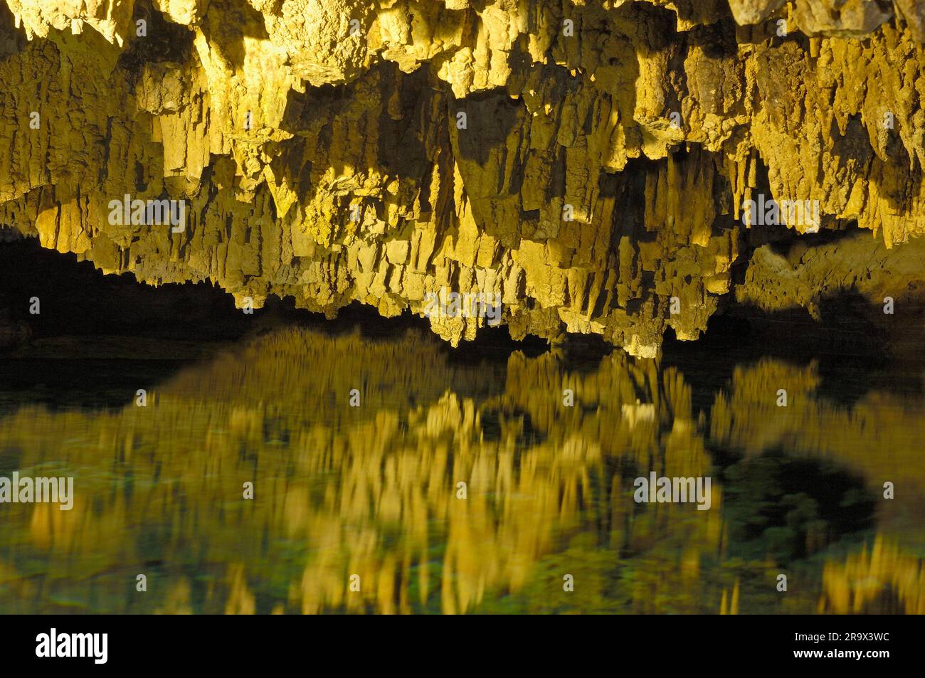 Cenote, Hidden Worlds Cenotes Park, Tulum, Riviera Maya, Quintana Roo, Yucatan, Mexique, Tulu'um Banque D'Images