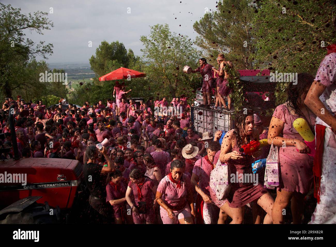 La Rioja, Espagne. 29 juin 2023. Bataille du vin / Batalla de Vino. Riscos de Bilibio, Haro, la Rioja, Espagne. 29 juin 2023. Fêtards à la bataille du vin de Haro qui se tient chaque année le jour de Saint-Pierre. Selon la légende locale, en 1237, un juge a ordonné à tous les résidents de Haro de marquer leurs territoires avec des banderoles violettes sur St. Le jour de Pierre pour finir un méprut terrritorial avec Miranda de Ebro voisine. Photo de James Sturcke | sturcke.org Banque D'Images