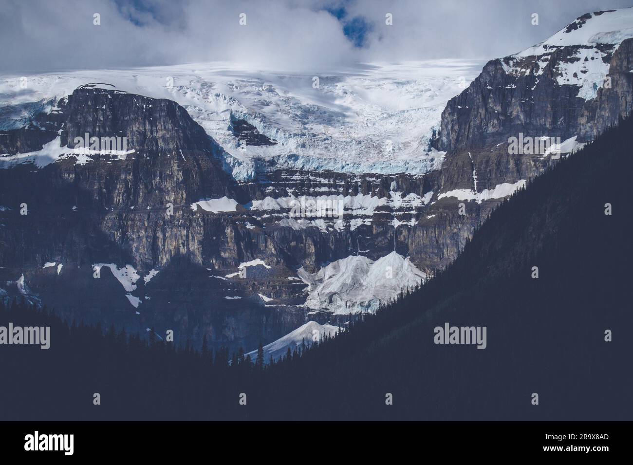Montagnes avec de la neige par temps nuageux avec une pinède ci-dessous Banque D'Images