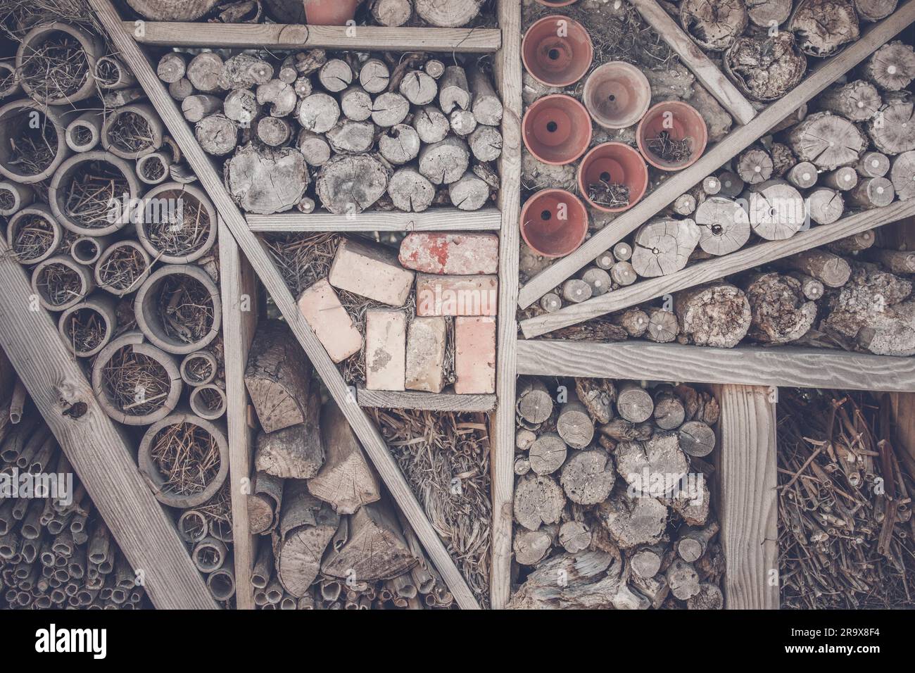 Bois et casiers sur une étagère dans un abri de jardin Banque D'Images