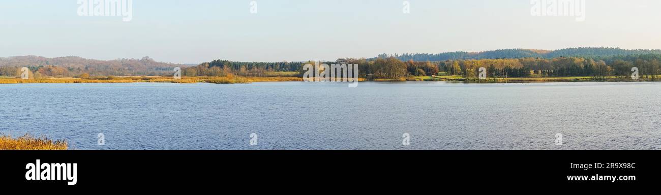 Lac panorama paysage avec arbres en automne couleurs autour de la rivière avec de l'eau bleu froid dans une zone scandinave Banque D'Images
