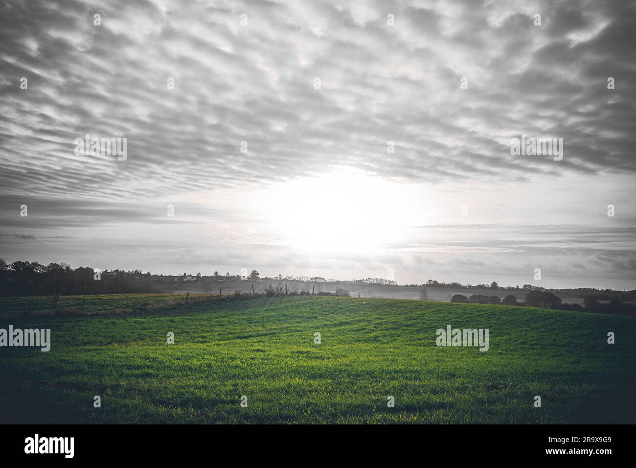 Lever de campagne avec des champs verts et ciel nuageux en milieu rural sur un terrain de campagne avec une clôture Banque D'Images