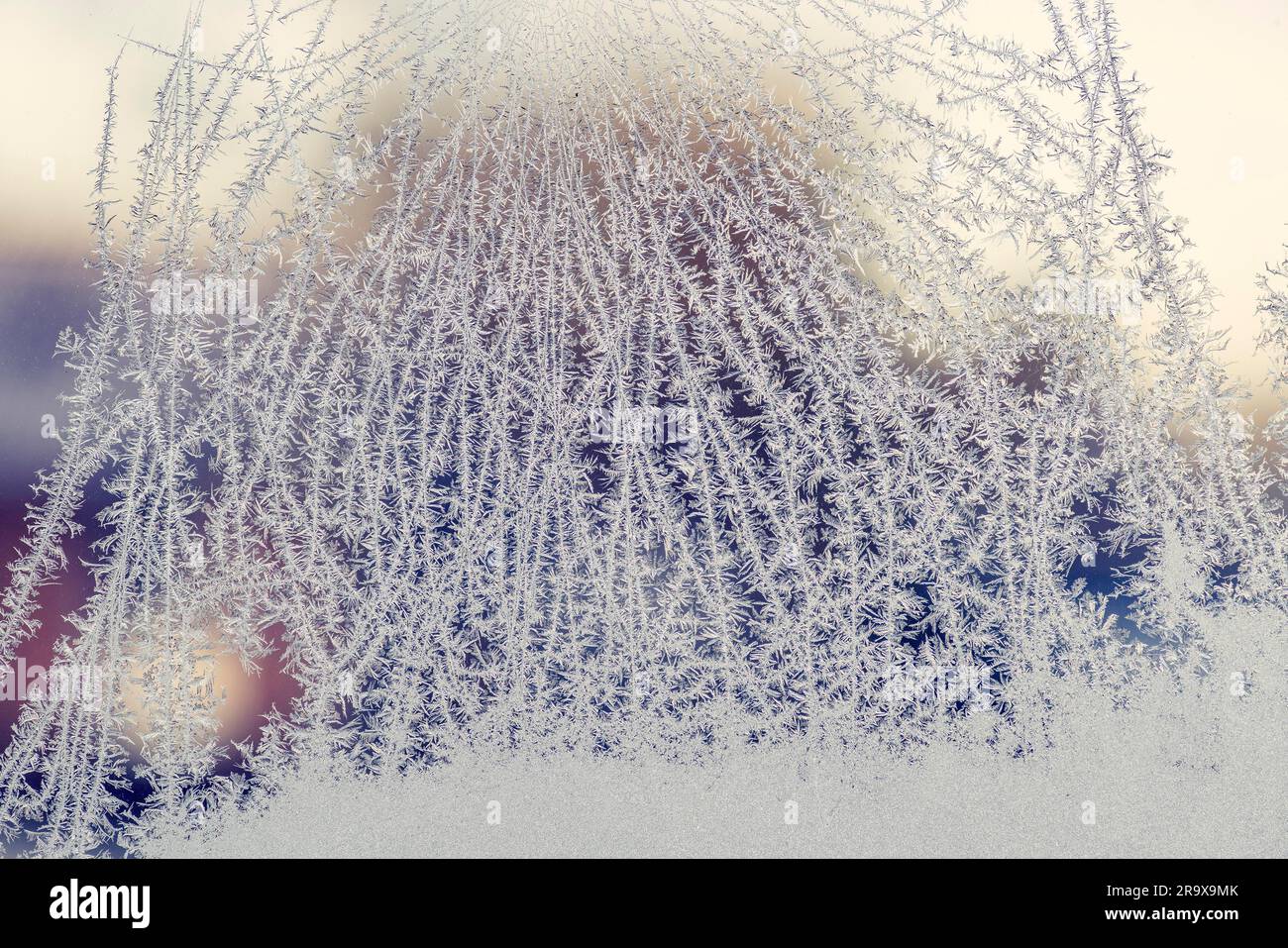 Givre sur un Windows sur un froid matin de janvier quand le soleil se lève Banque D'Images