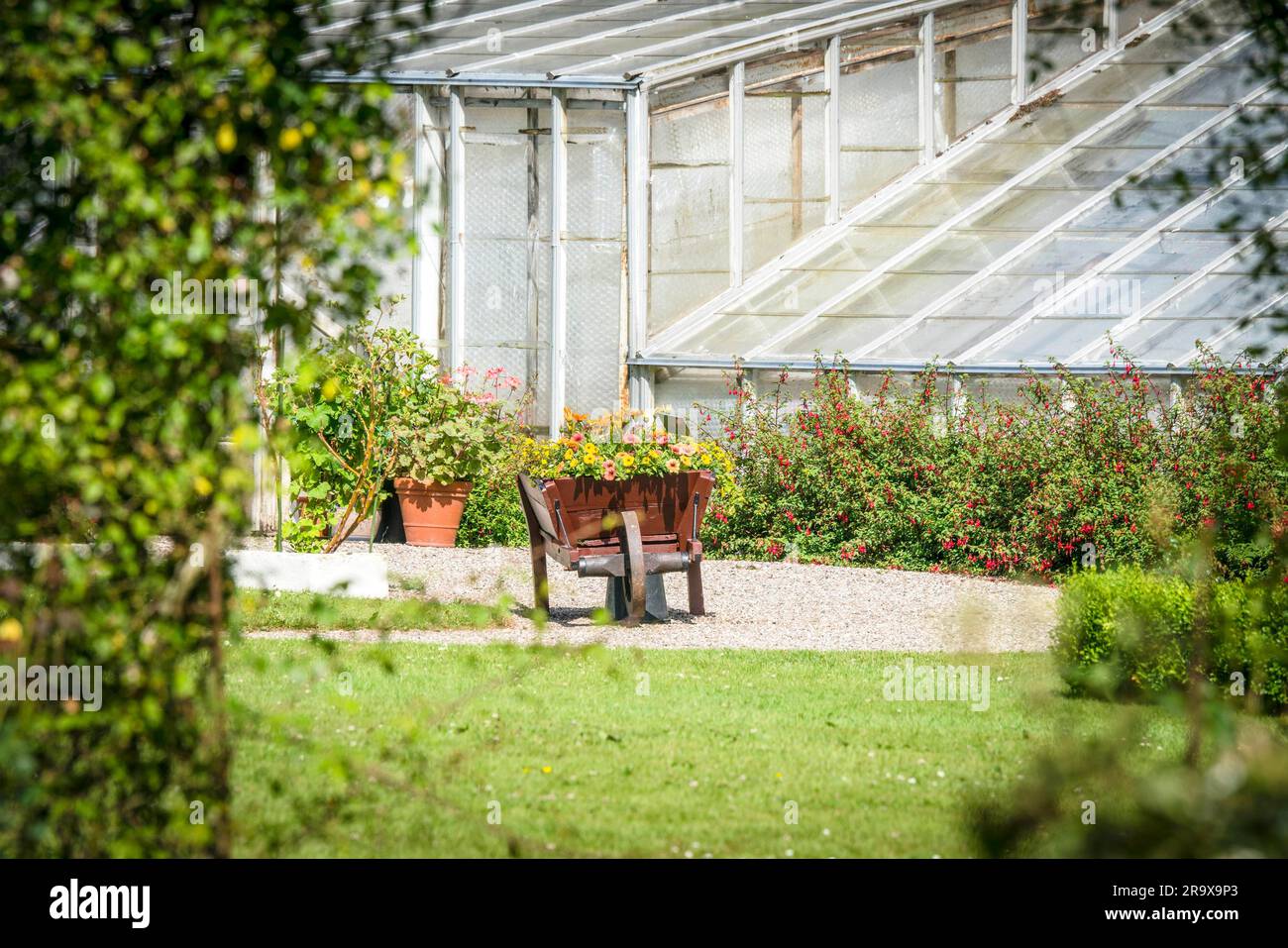 Brouette en bois rempli de fleurs colorées dans un jardin de verdure dans l'été Banque D'Images