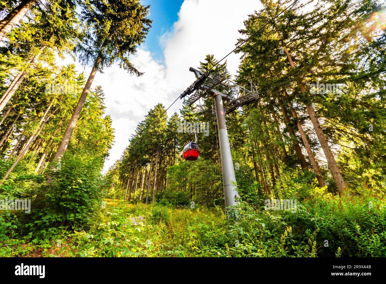 Remontée mécanique dans une forêt verte sous le soleil d'été Banque D'Images
