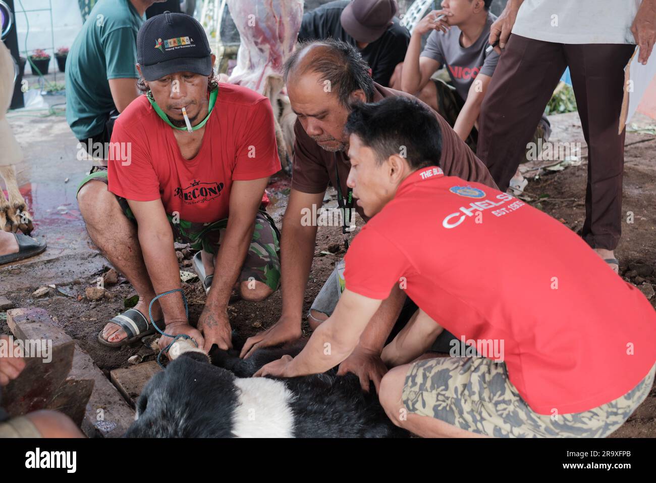 MALANG, INDONÉSIE - 29 juin 2023 : trois indonésiens tiennent une chèvre noire à motif blanc sacrifiée sur l'Eid Al-Adha ou l'Idul Adha Banque D'Images