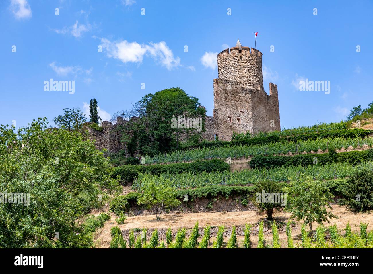 Château historique de Kaysersberg dans les vignobles de la région des Vosges, en France Banque D'Images