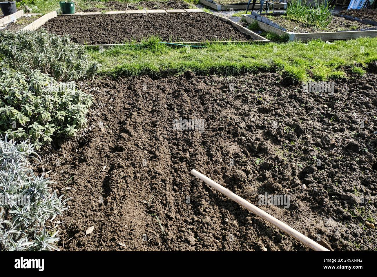 Lit fraîchement labouré sur allotissement à la fin de l'hiver / début du printemps Banque D'Images