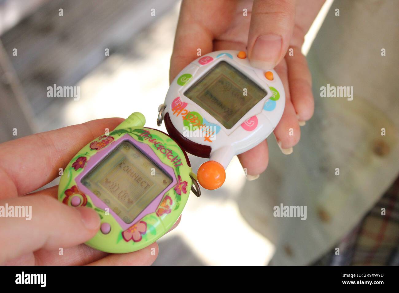 Deux jeunes gens connectent des tamagotchis par une journée ensoleillée dans un jardin. Banque D'Images