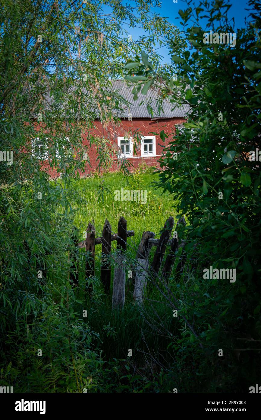 Petite maison de paysan rouge en bois avec des fenêtres blanches et une vieille clôture de jardin brisée entourée de végétation dans la campagne au printemps Banque D'Images