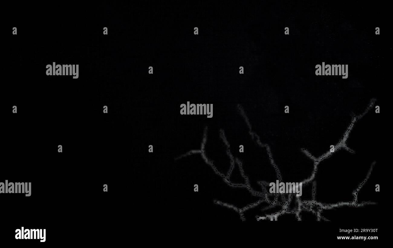 Pixels morts à l'écran. Les pépins numériques endommagent le signal vidéo par des pixels morts. Fissure sur un grand moniteur noir. Banque D'Images