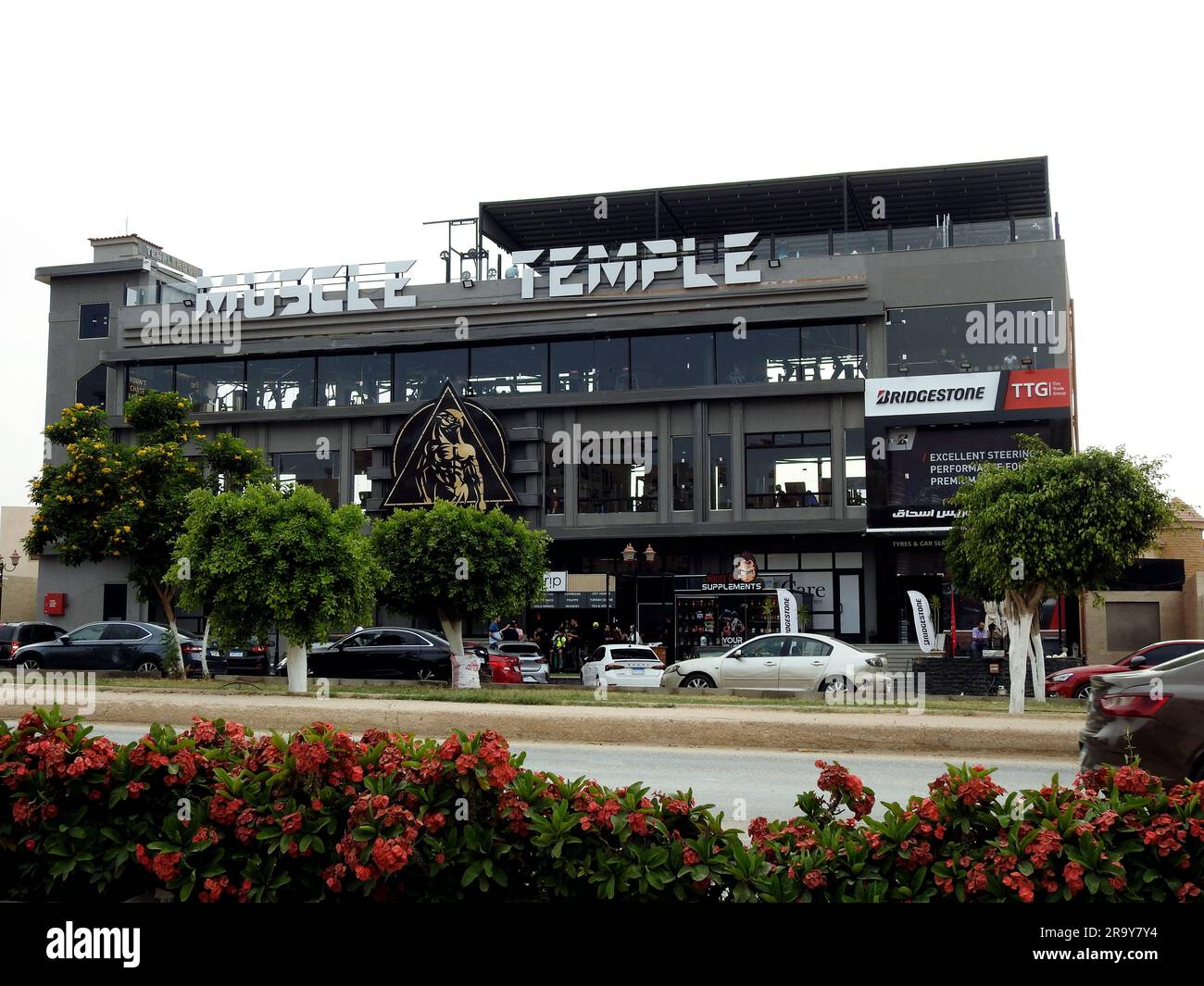 Le Caire, Egypte, 6 juin 2023 Muscle Temple Gym Centre de fitness