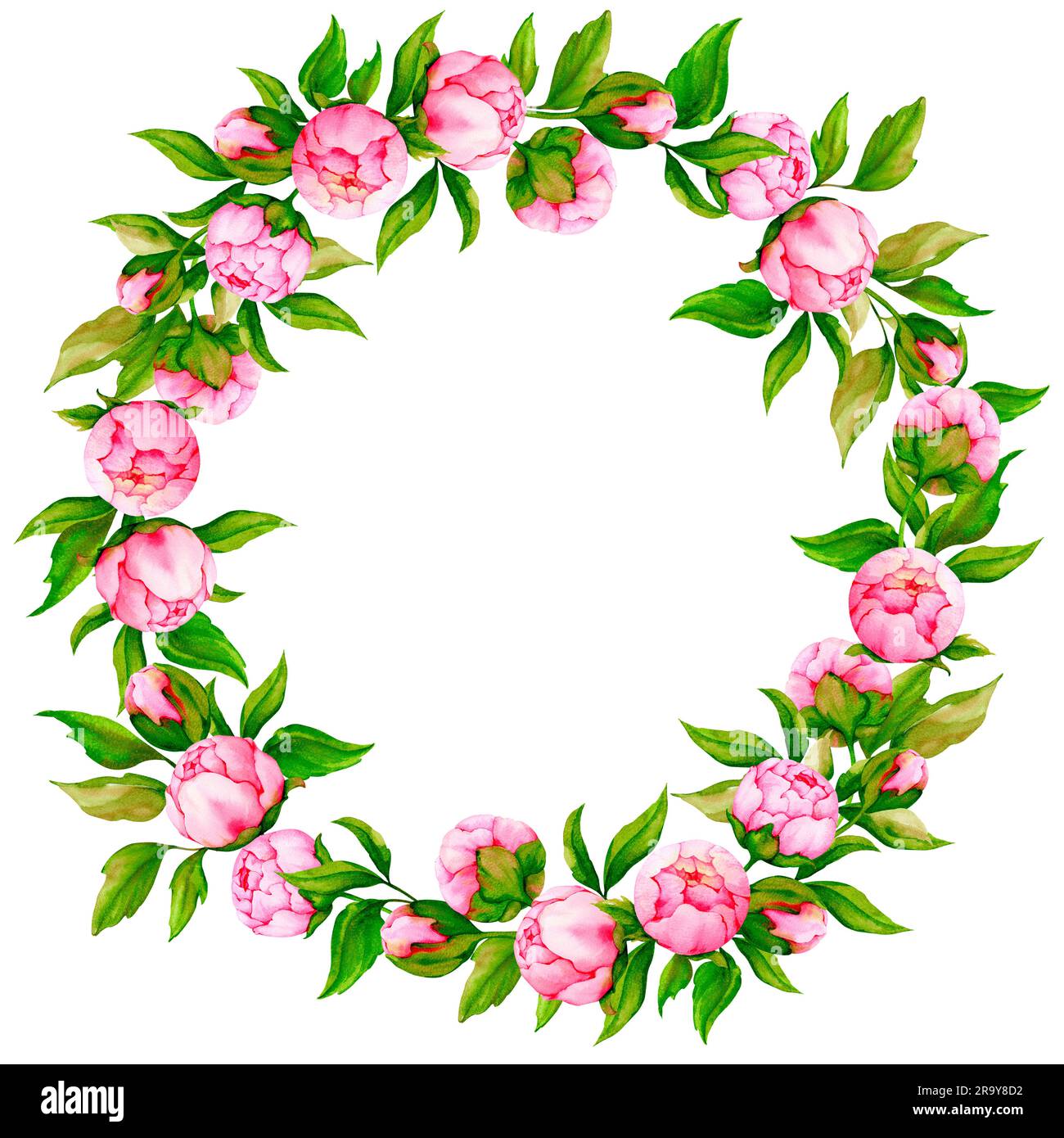 Couronne de péonies roses. Bordure aquarelle pour la conception de cartes de vœux, invitations, félicitations, affiches, annonces. Mariage, Saint-Valentin Banque D'Images