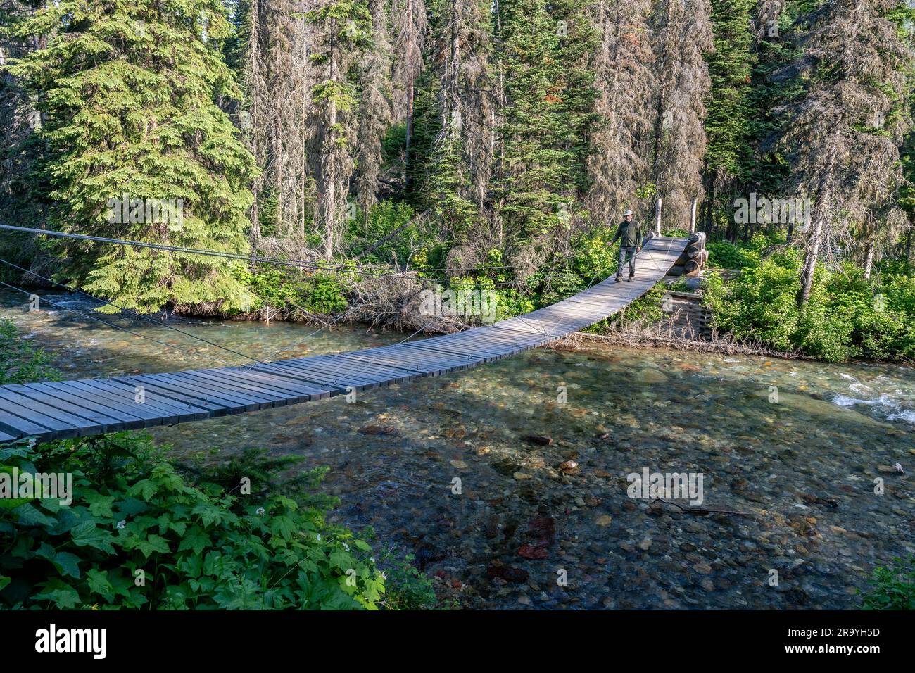 Homme caucasien mûr marchant sur un pont suspendu au-dessus d'une rivière tenant d'une main à une ligne de soutien, le pont Raymond Creek, parc national Glacier Banque D'Images