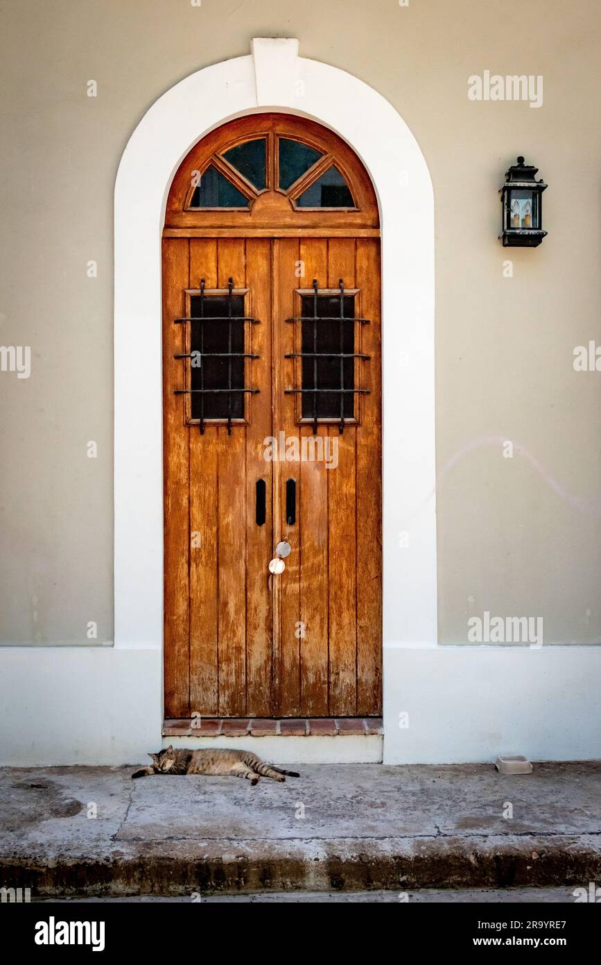 Chat endormi dans la porte historique espagnole dans le vieux San Juan, Porto Rico, le quartier historique. De nombreux chats errants et sauvages vivent dans le quartier. Banque D'Images