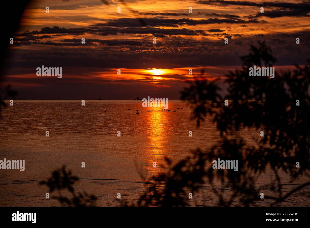 Silhouette de personnes sur les panneaux SUP à l'horizon de la mer au lever du soleil orange. Passe-temps actif sur l'eau. état de solde. santé mentale. Loisirs actif Banque D'Images