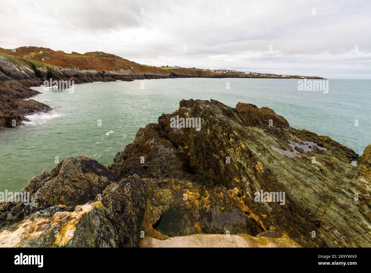 Anglesey North Coastal Path, pays de Galles. Automne ou automne Bull Bay en distance, paysage, grand angle Banque D'Images