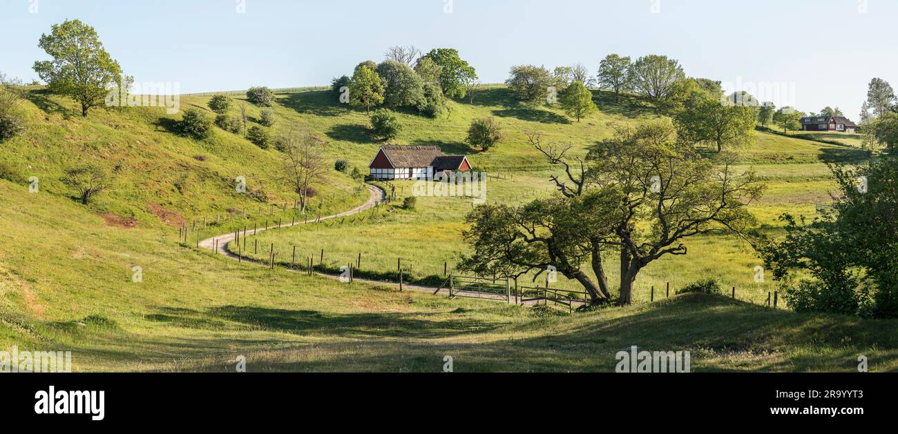 Cottage dans un beau paysage de campagne Skane dans le sud de la Suède. Banque D'Images