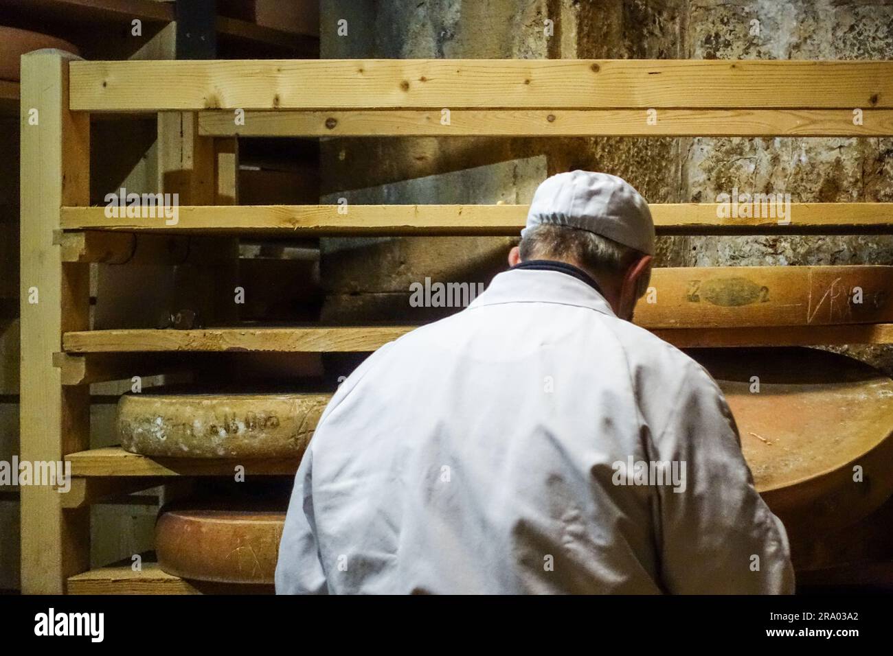 Expert contrôlant l'affinage du fromage comté dans les caves du fort Saint-Antoine, près de Pontarlier, Franche-Comté, France Banque D'Images