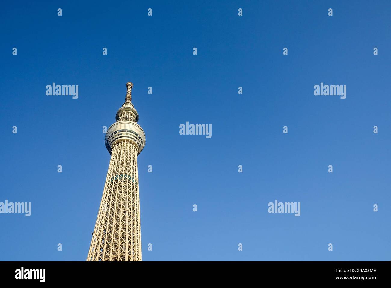 Tokyo Skytree Tower (634 mètres de haut) avec fond de ciel bleu comme espace négatif Banque D'Images