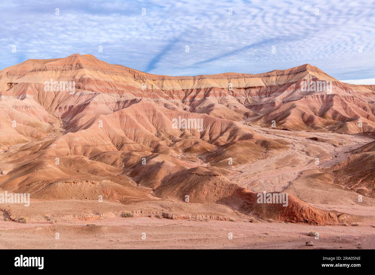 Caractéristiques érosionnelles, mesas, collines et paysage désertique, le désert peint, près de tuba City, AZ, USA, Par Dominique Braud/Dembinsky photo Assoc Banque D'Images