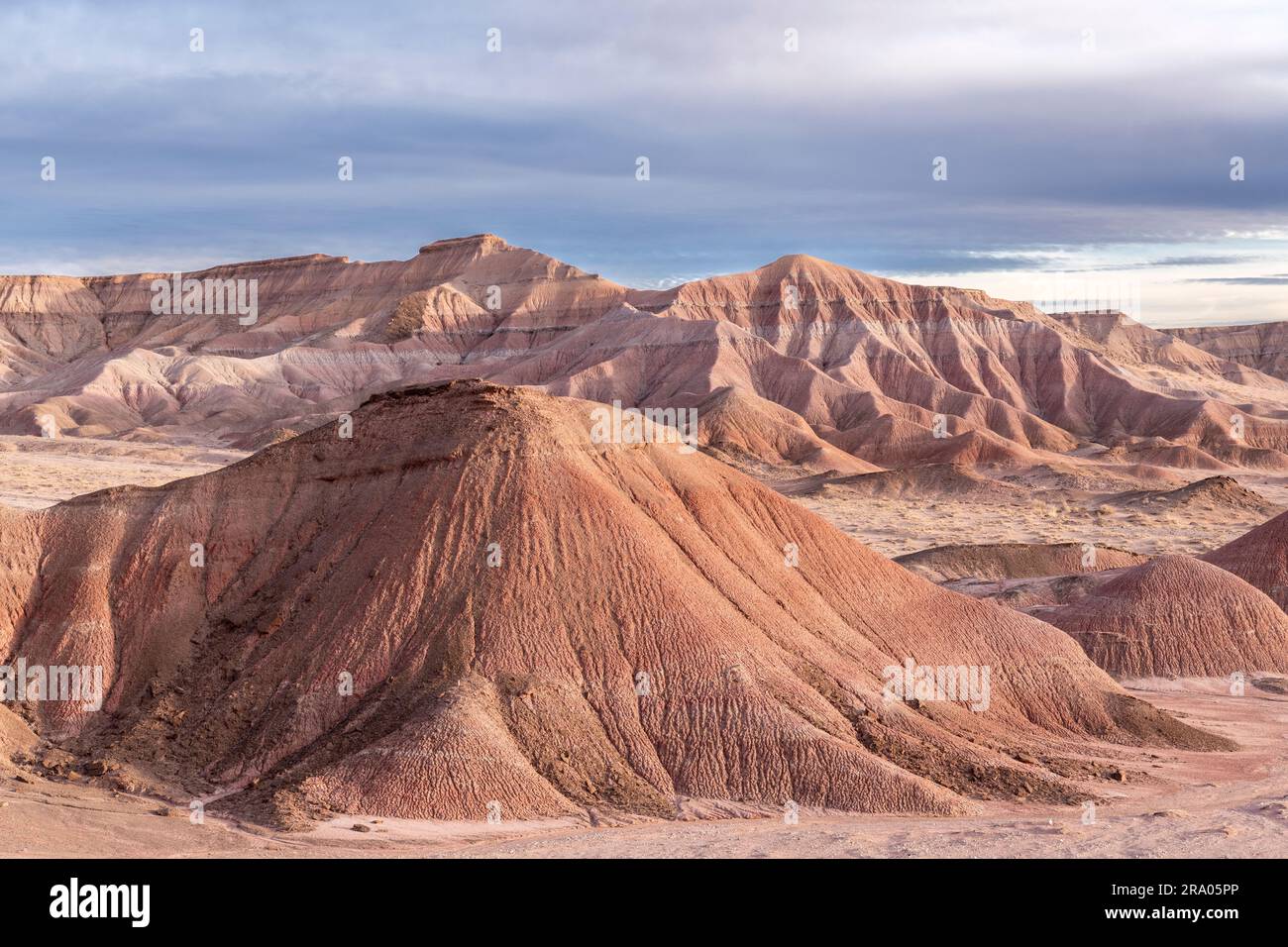 Caractéristiques érosionnelles, mesas, collines et paysage désertique, le désert peint, près de tuba City, AZ, USA, Par Dominique Braud/Dembinsky photo Assoc Banque D'Images