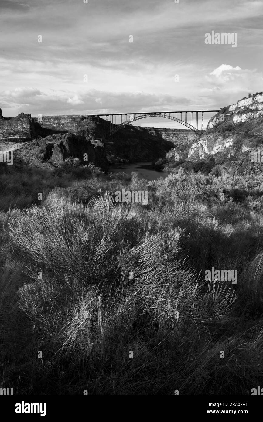 Une photo de paysage noir et blanc du pont Perrine au-dessus de la rivière Snake et un pinceau sec au premier plan éclairé par le soleil bas en début de soirée Banque D'Images