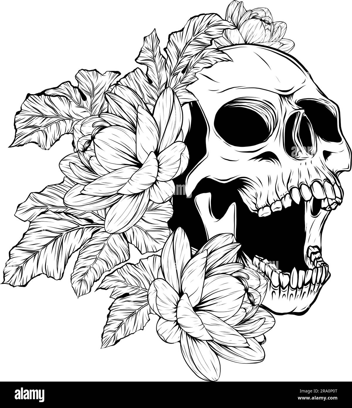 illustration vectorielle du contour du crâne humain Illustration de Vecteur